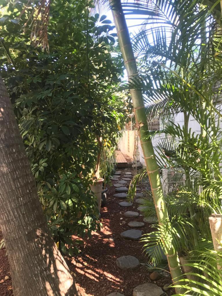 Villa Albizia 974 Avec Piscine Et Spa Saint Pierre Bagian luar foto