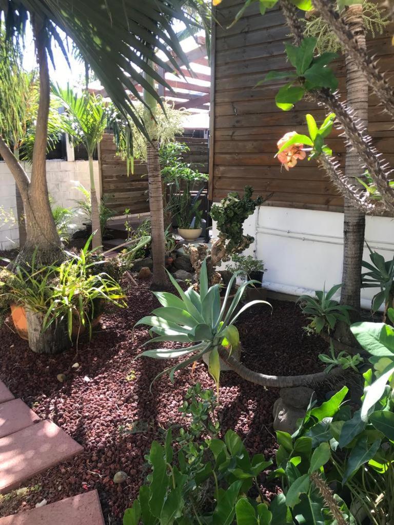 Villa Albizia 974 Avec Piscine Et Spa Saint Pierre Bagian luar foto